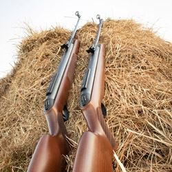 RWS Rifles in Hay