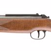 Picture of RWS MODEL 350 MAGNUM .22 PELLET AIR RIFLE - UMAREX AIRGUNS