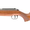 Picture of RWS MODEL 460 MAGNUM .177