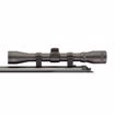 Picture of Ruger Blackhawk .177 Caliber Pellet Rifle