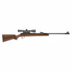 Picture of RWS Model 34 .22 caliber pellet rifle with 4x32 Scope and Rings : Umarex Airguns