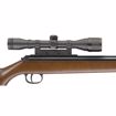 Picture of RWS Model 34 .22 caliber pellet rifle with 4x32 Scope and Rings : Umarex Airguns