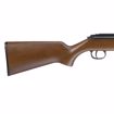 Picture of RWS Model 34 .22 caliber pellet rifle with 4x32 Scope and Rings : Umarex Airguns