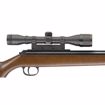 Picture of RWS MODEL 34 .177 COMBO (4X32 SCOPE W/ MOUNT)