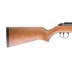 Picture of RWS MEISTER SCHUTZE (34 CLASSIC) .177 PRO COMPACT