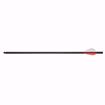Picture of AirJavelin Air Archery Arrows with Field Tips 6-pack