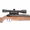 Picture of RWS MODEL 54 .22 COMBO (4X32 SCOPE W/ MOUNT)