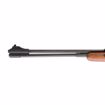 Picture of RWS MODEL 460 MAGNUM .177 COMBO (4X32 SCOPE W/ MOUNT)