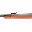 Picture of RWS MODEL 460 MAGNUM .22