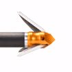 INNERLOC BLOOD BUG 50 GRAIN BROADHEAD