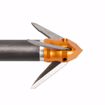 INNERLOC BLOOD BUG 50 GRAIN BROADHEAD