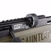 UMAREX Gauntlet 30
