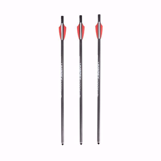 AirJavelin Air Archery Arrows with Field Tips 6-pack