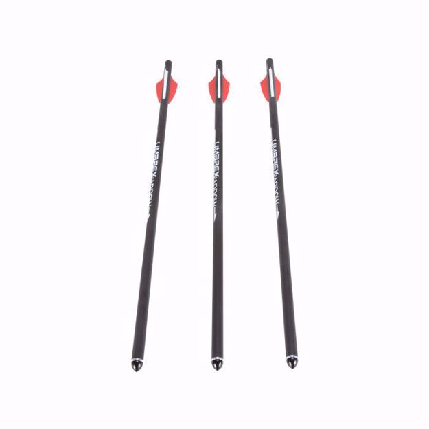 AirJavelin Air Archery Arrows with Field Tips 6-pack