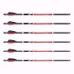 UX NITROJAVELIN ARROWS