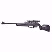 Ruger APX Multi-Shot Pneumatic Pump Pellet Rifle with Scope