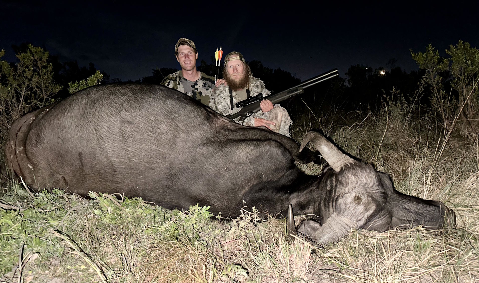Chris Cook cape buffalo with umarex airsaber