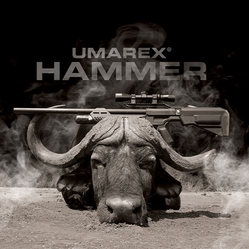 Umarex Hammer on a Water Buffalo