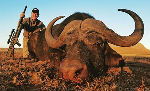 Steve Scott with a bison hunted with the Umarex Hammer